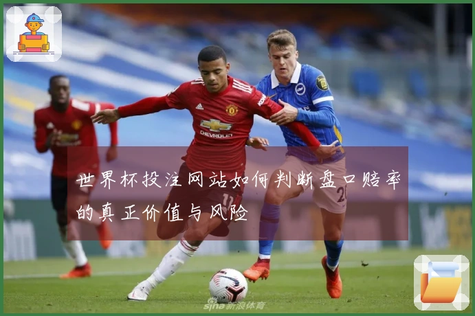 世界杯投注网站如何判断盘口赔率的真正价值与风险