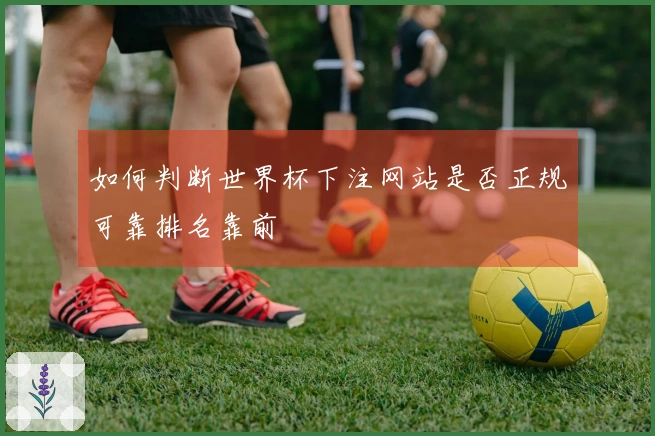 如何判断世界杯下注网站是否正规可靠排名靠前