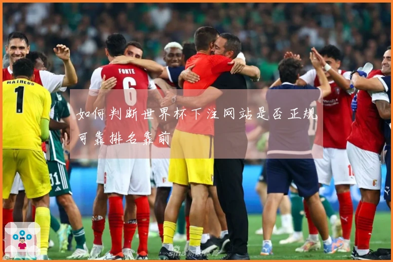 如何判断世界杯下注网站是否正规可靠排名靠前