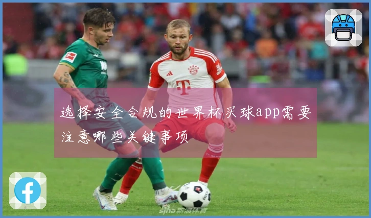 选择安全合规的世界杯买球app需要注意哪些关键事项